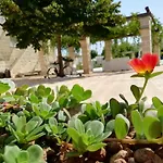 Bed & Breakfast Il Giardino Del Tiglio