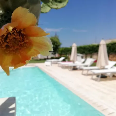 Il Giardino Del Tiglio *
